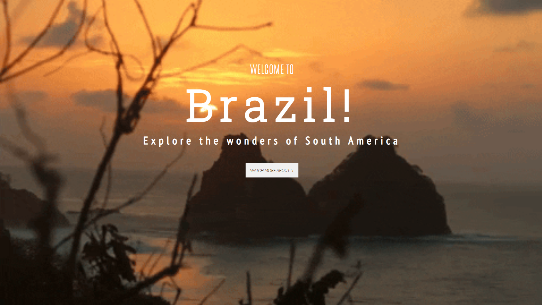 brazil landing page